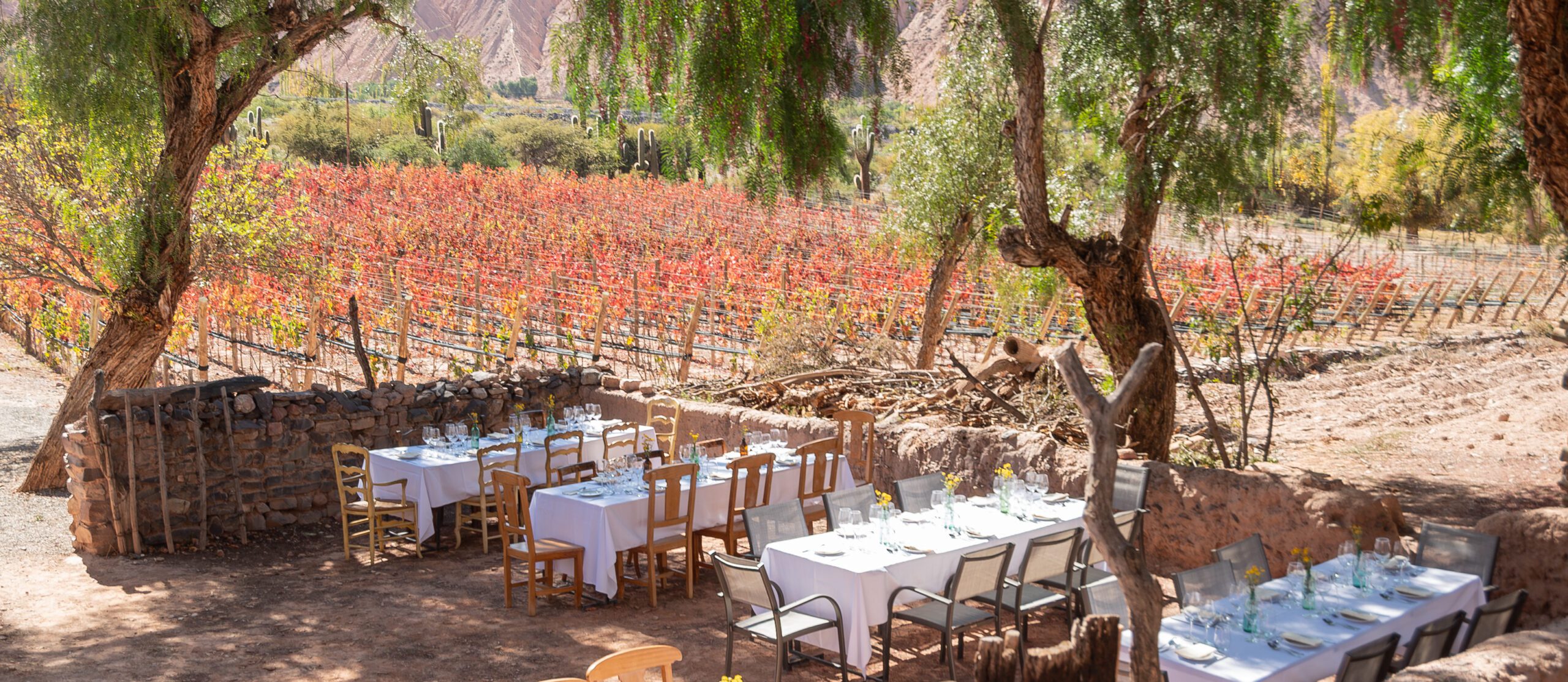 experiences-Huichaira